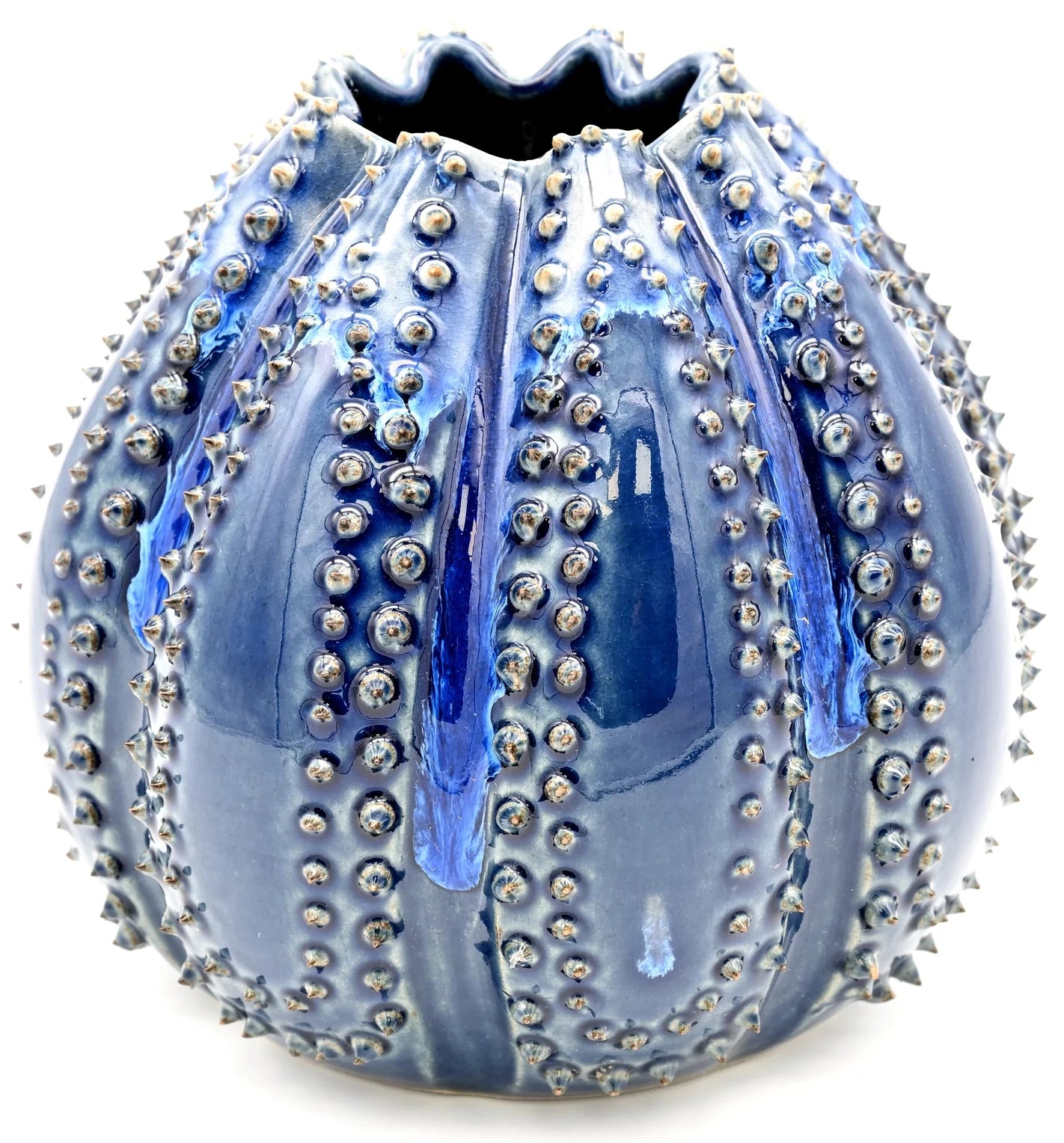 Sea Urchin Vase