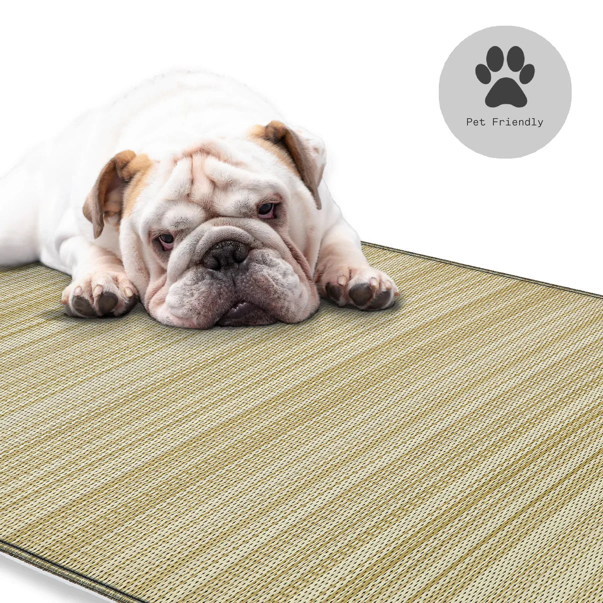 Cancun Shadow Indoor/Outdoor Rug