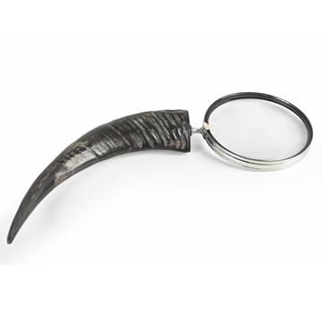 Magnifying Glass