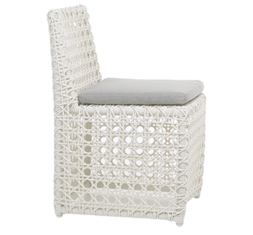Arnie Indoor/Outdoor Dining Chair