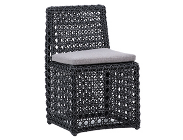 Arnie Indoor/Outdoor Dining Chair