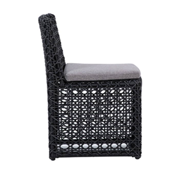 Arnie Indoor/Outdoor Dining Chair